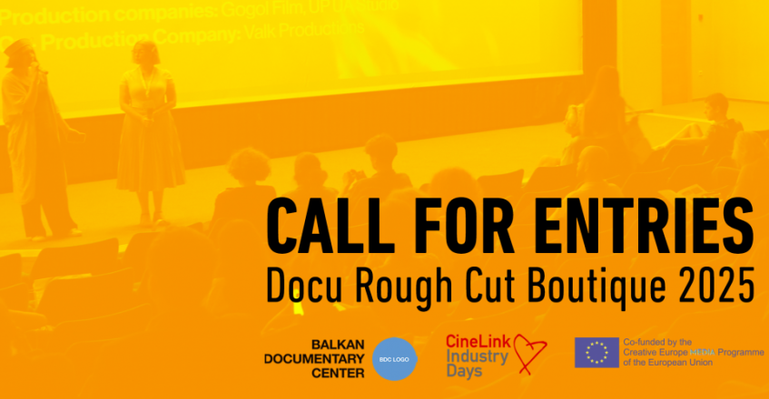 The 15th edition of the Docu Rough Cut Boutique is now open for submissions!